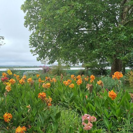 Clivedon Cottage Sunland 외부 사진