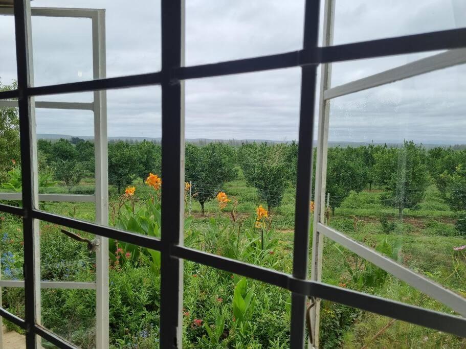 Clivedon Cottage Sunland 외부 사진